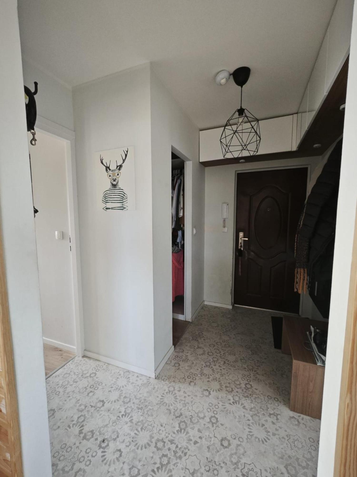 Apartament - Krasinskiego Lägenhet Kłodzko Exteriör bild